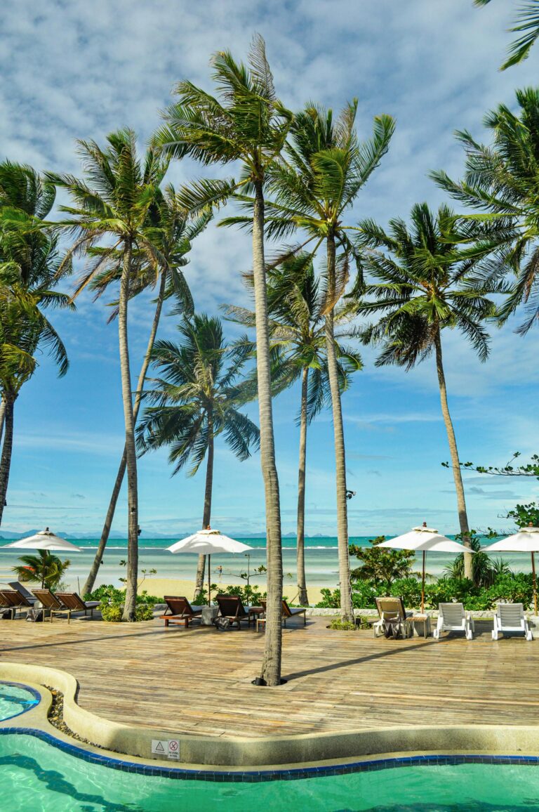 🌴 Thajský reset