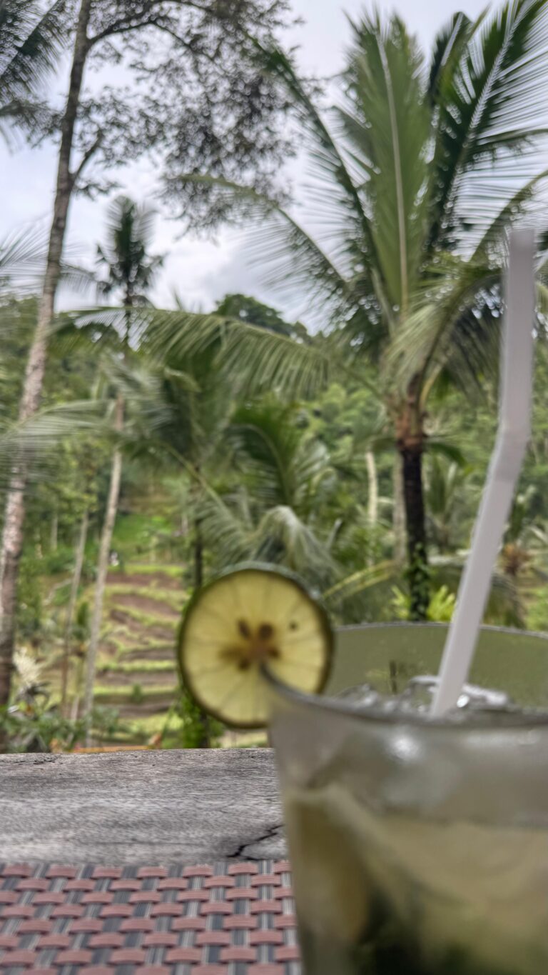 🍚 Tegallalang