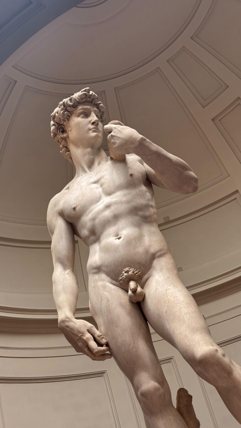 Florencie a David